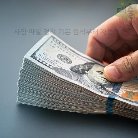 2.사진·파일 정리 기본 원칙부터 자동화 도구