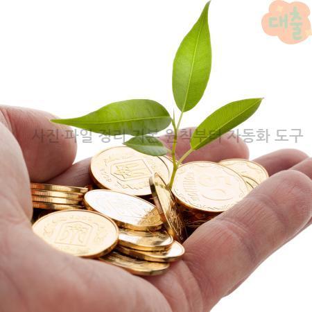 4.사진·파일 정리 기본 원칙부터 자동화 도구