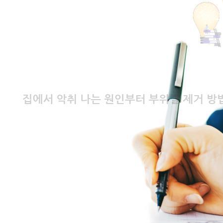 5.집에서 악취 나는 원인부터 부위별 제거 방법까지