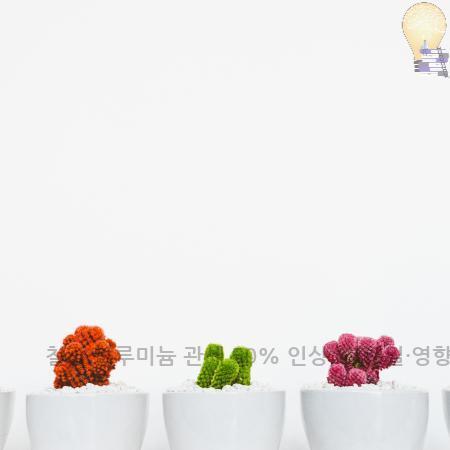 1.철강·알루미늄 관세 50 인상 시행일·영향·관련주